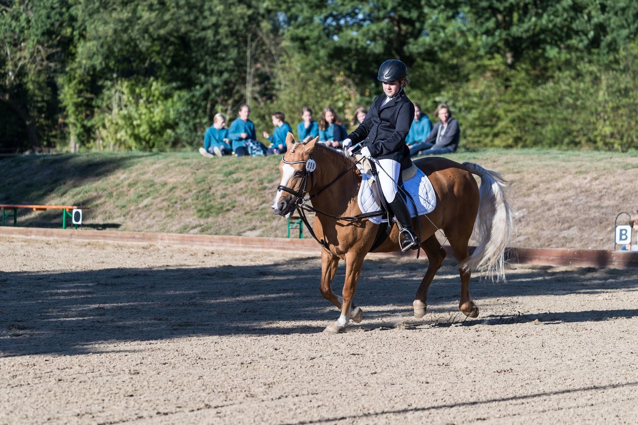 Bild 124 - Pony Akademie Turnier